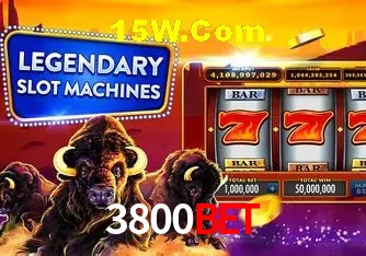 3800Bet - User Statistics