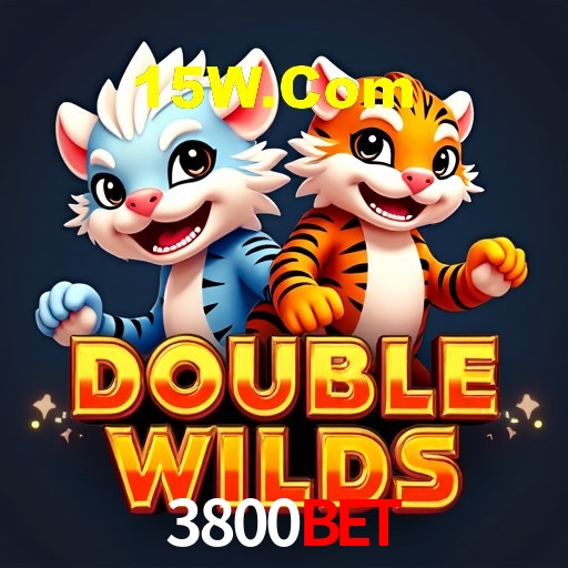 Recursos de Bônus 3800Bet